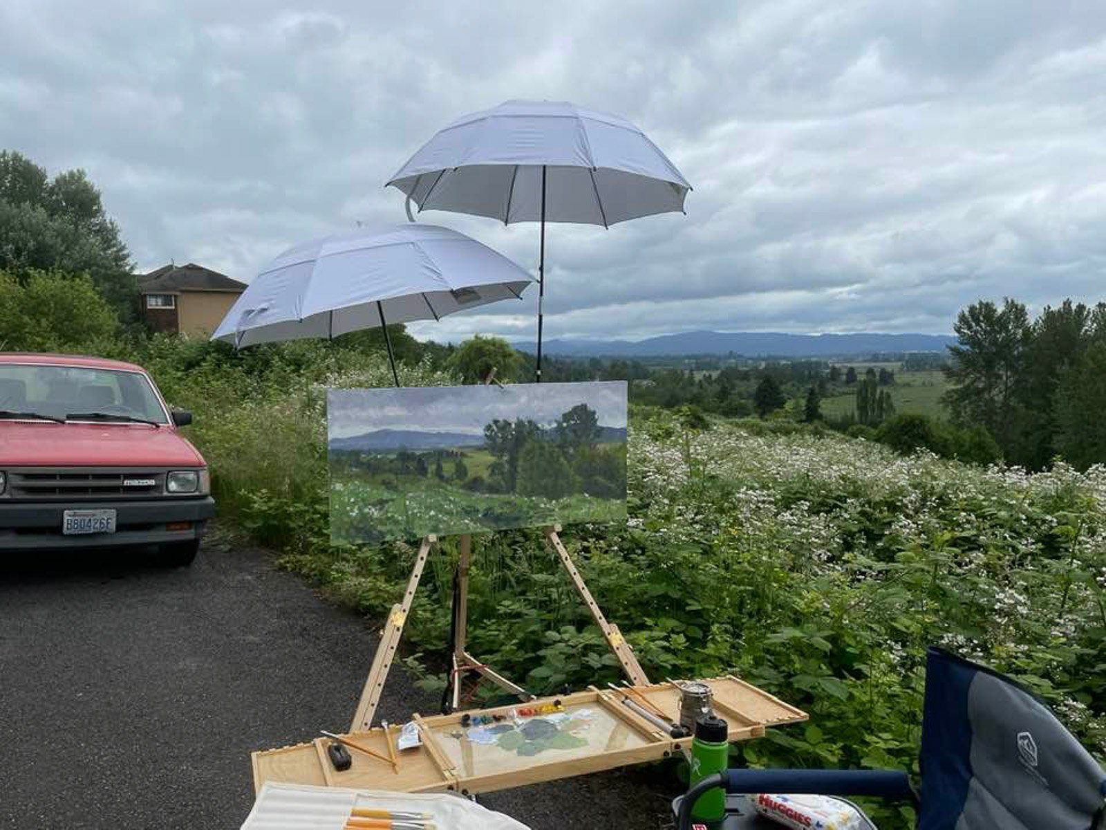 Snohomish Valley Viewpoint