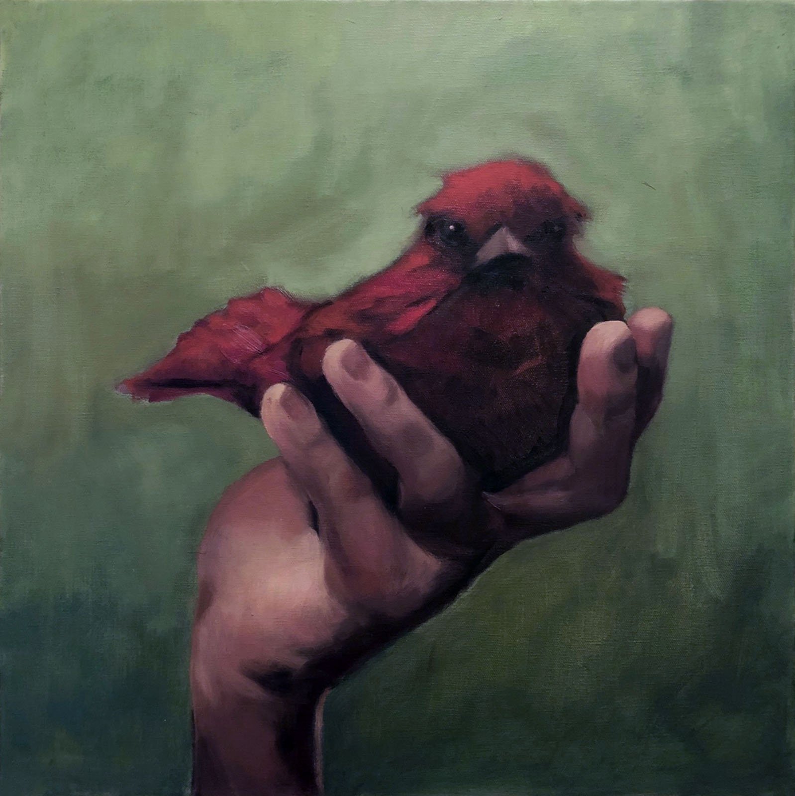 Julie Stonebraker Nelson